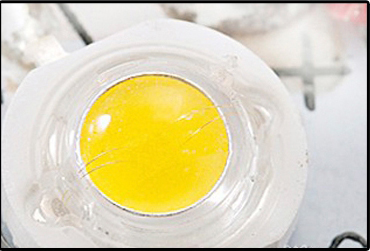 LED美国普瑞芯片