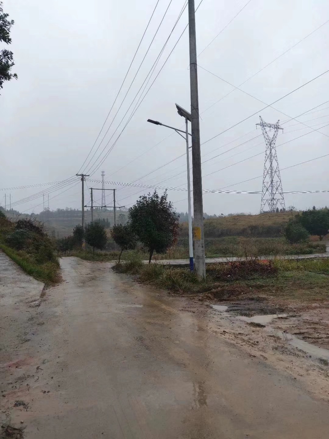 农村新装的太阳能路灯